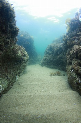 IMG_8215.jpg
