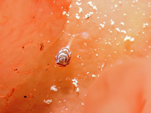 20180228_092130.jpg
