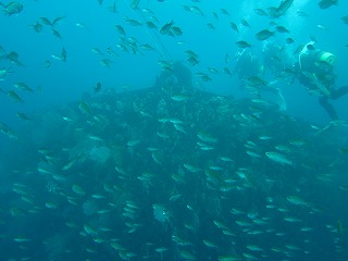 IMG_1999.jpg