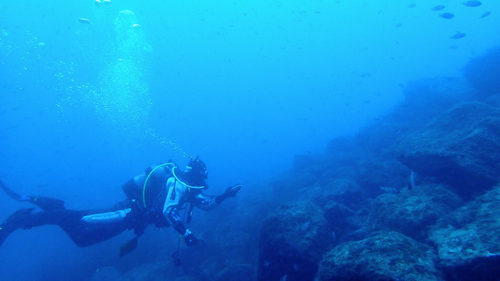 OI000144.jpg