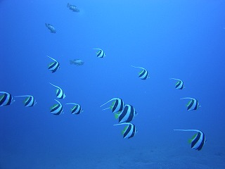 RIMG0074.jpg