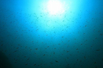 _MG_3985.jpg