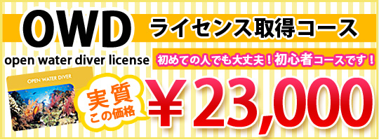 OWDライセンス取得コース