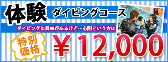 体験ダイビング取得コース